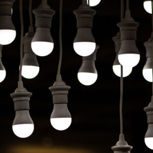 Bulbs